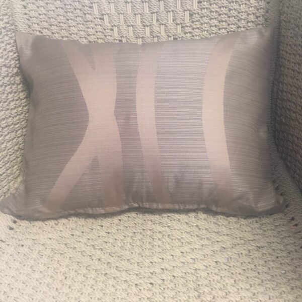 Latte & Gold Stripe Background with Gold Wave Scatter Cushion Cover (2)