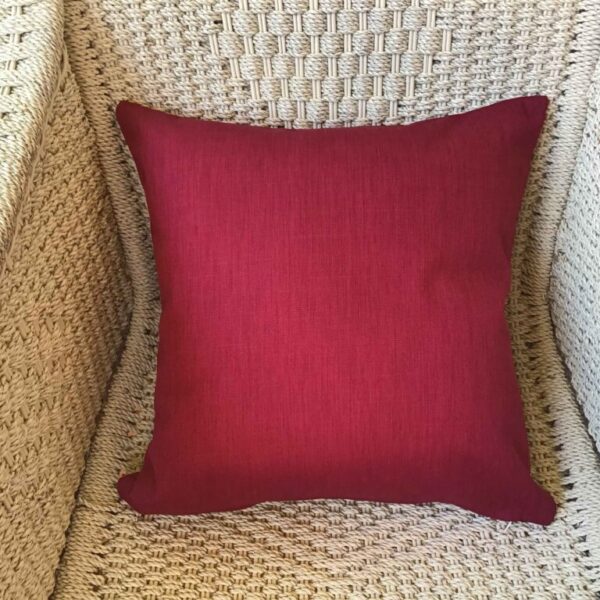 Motley Crimson Scatter Cushion Covers (1)